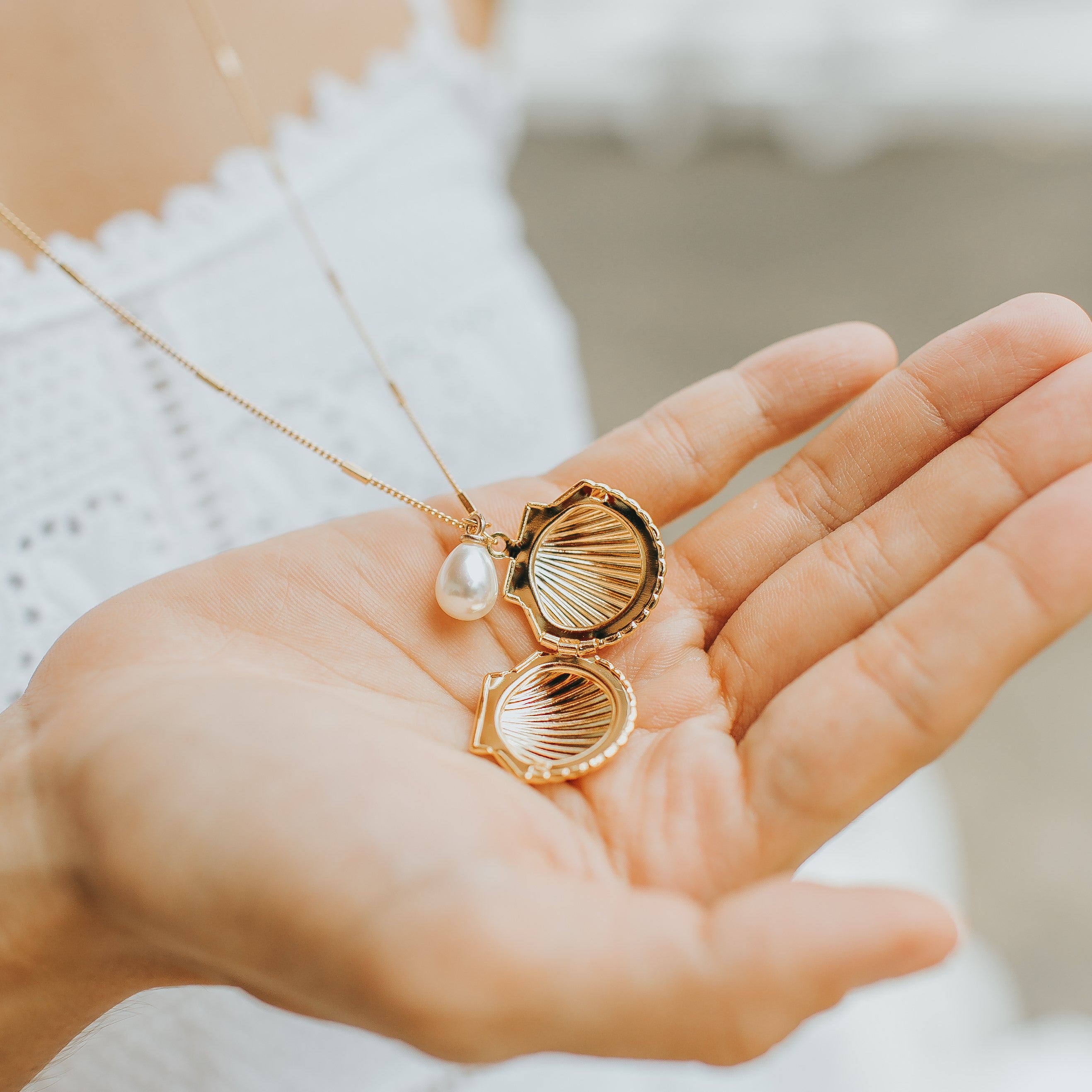 Clam Shell Seashell Locket Necklace Gold Clam Shell Locket Citrus Reef